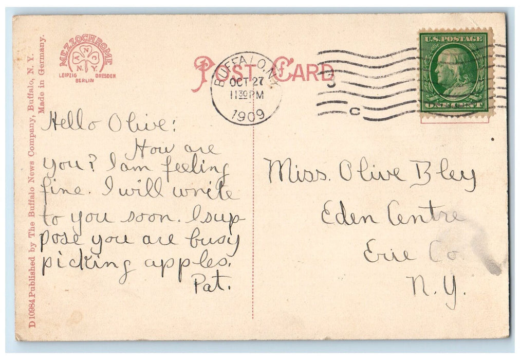 1909 Steamer Amerikana Starting For Crystal Beach Ontario Buffalo NY Postcard
