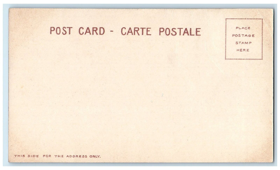c1905 Lafayette Square Public Library Monument Tower Hotel Buffalo NY Postcard