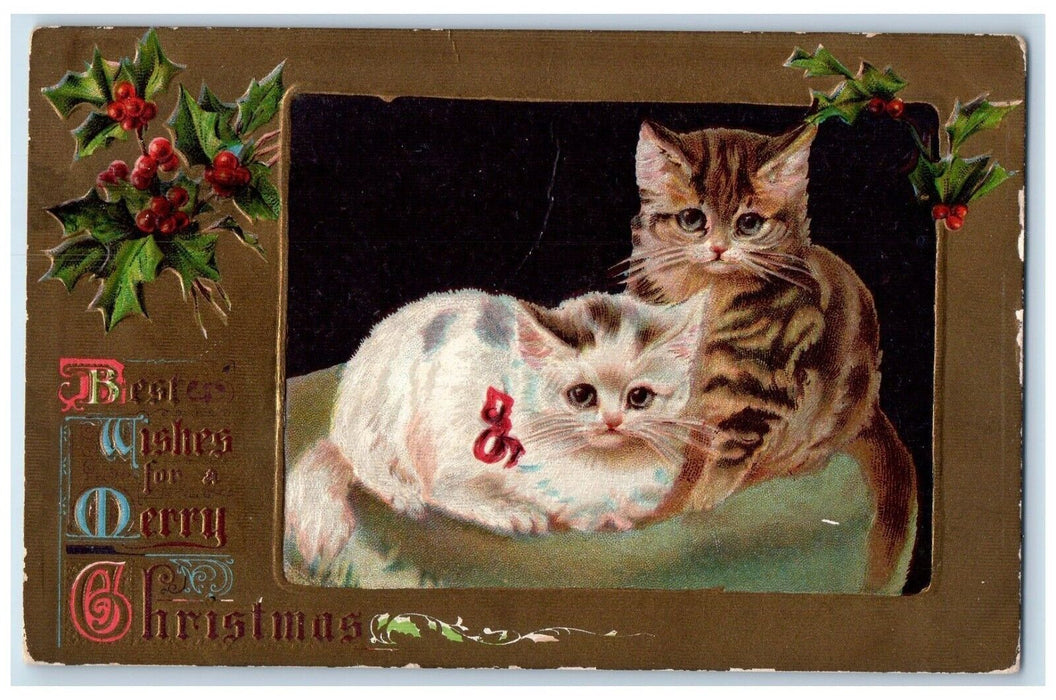 1908 Christmas Tiger White Cats Kitten Holly Berries Embossed Antique Postcard