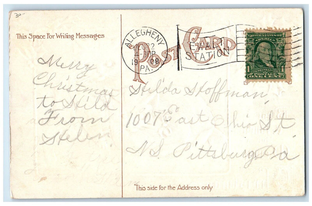 1908 Christmas Tiger White Cats Kitten Holly Berries Embossed Antique Postcard
