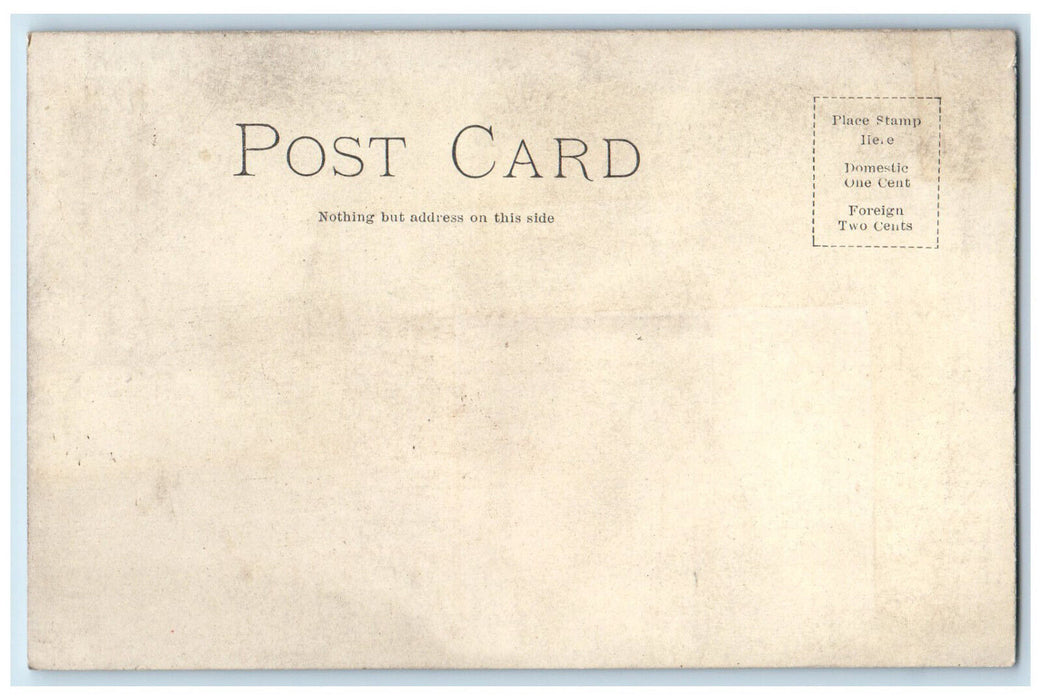1905 Chinese Pagola Mineral Springs Garfield Park Chicago Illinois IL Postcard