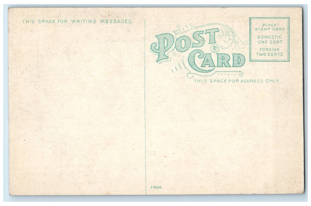 c1910 Steamer Eastern States Passenger Ship Smokestacks Dock Buffalo NY Postcard