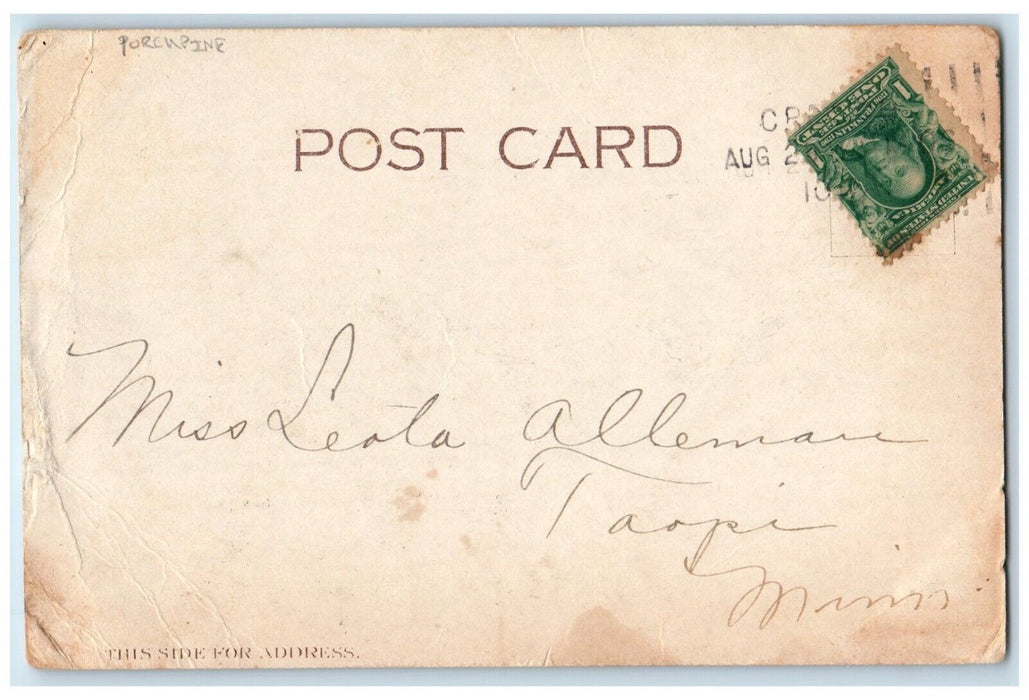 c1905 Knowing Your Good Points Porcupine Taopi Minnesota MN Antique Postcard