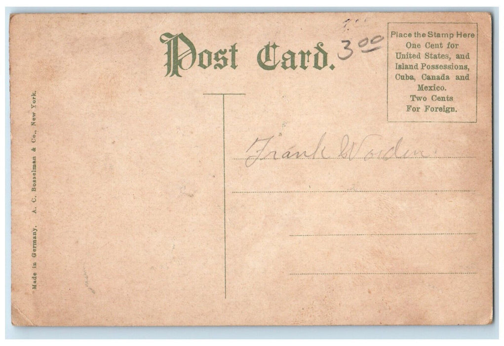 c1910 Credit Business Section Canal Street Grand Rapids Michigan MI Postcard