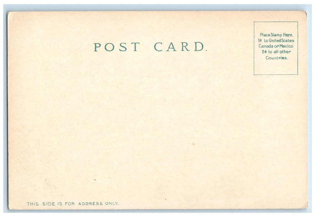 c1905 Great Incline Mount Lowe Railway California CA Antique Postcard
