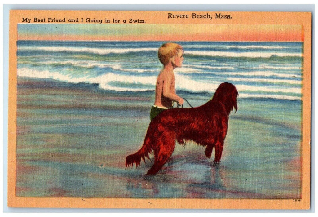 Little Boy And His Dog Going To Swim At Revere Beach Massachusetts MA Postcard