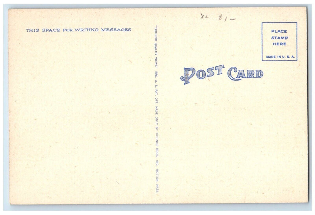 Little Boy And His Dog Going To Swim At Revere Beach Massachusetts MA Postcard