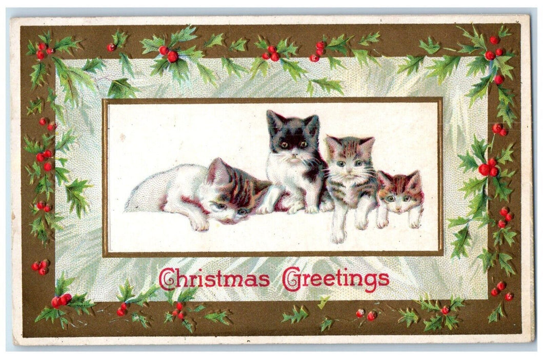 1912 Christmas Greetings Three Cats Holly Berries Winsch Back Antique Postcard