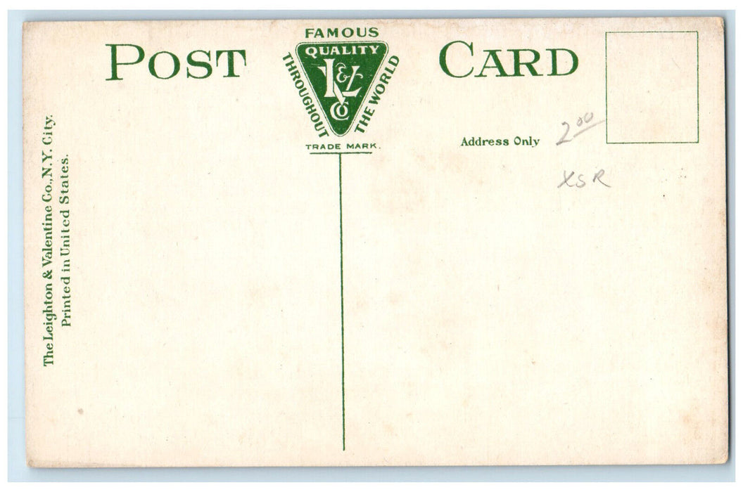 c1910 The Library Blackstone Massachusetts MA Antique Unposted Postcard