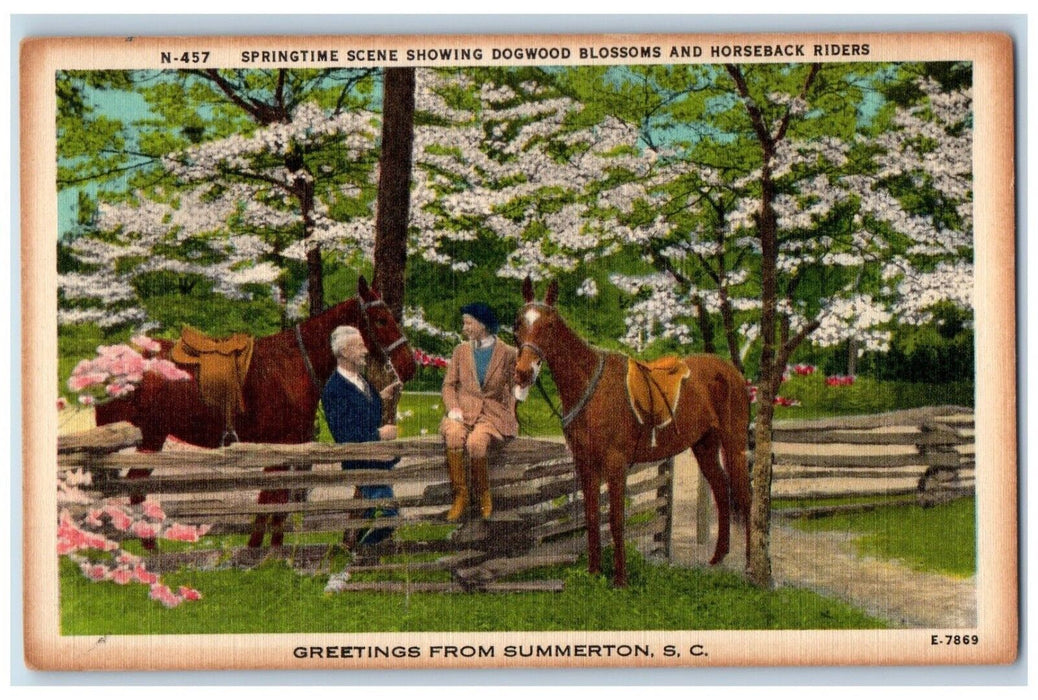 Greetings From Summerton SC, Springtime Scene Blossom Horseback Rider Postcard
