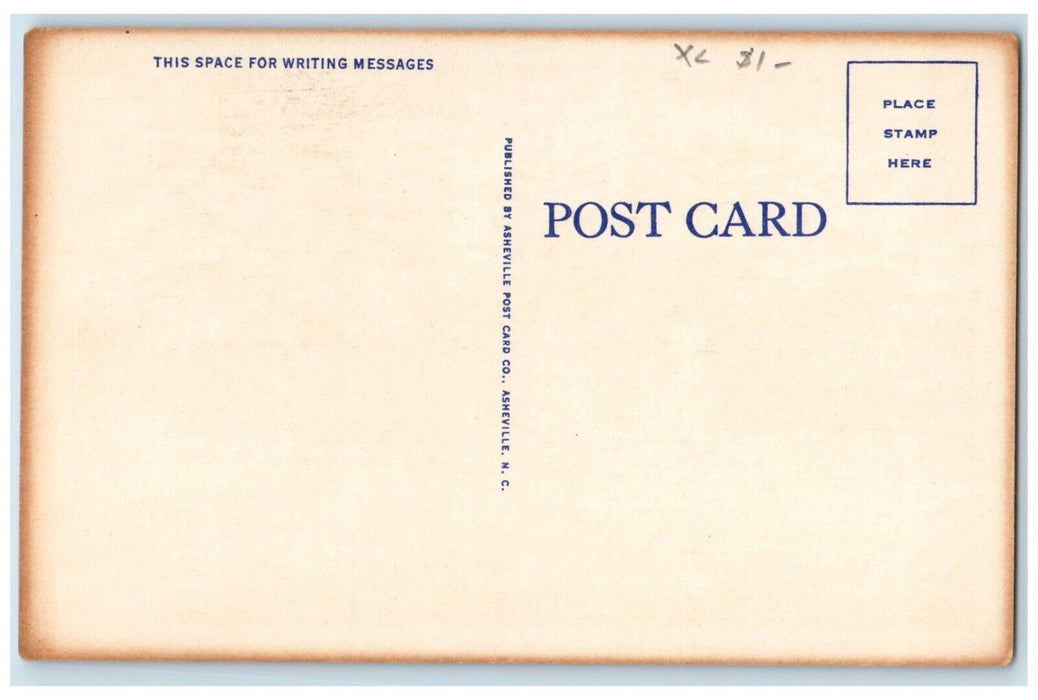 Greetings From Summerton SC, Springtime Scene Blossom Horseback Rider Postcard