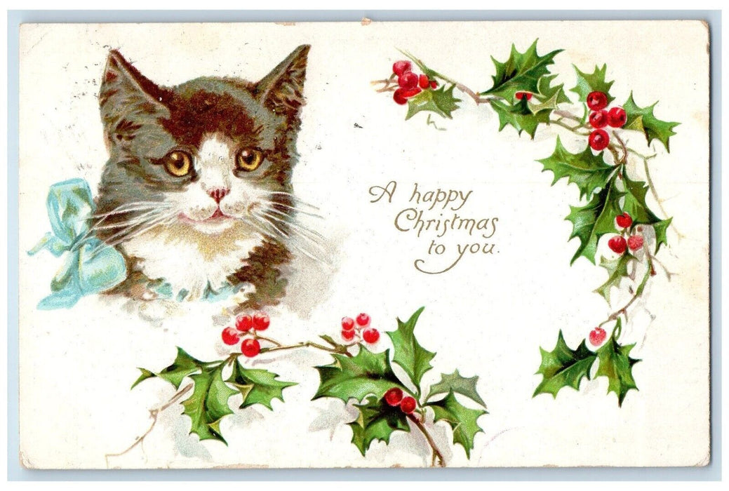 1909 Christmas Cat Kitten Holly Berries Embossed Cincinnatus NY Antique Postcard