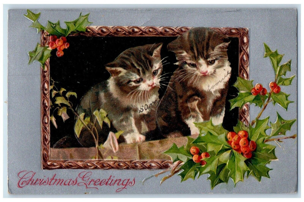 c1910's Christmas Greetings Cute Cats Kitten Holly Berries Embossed Postcard