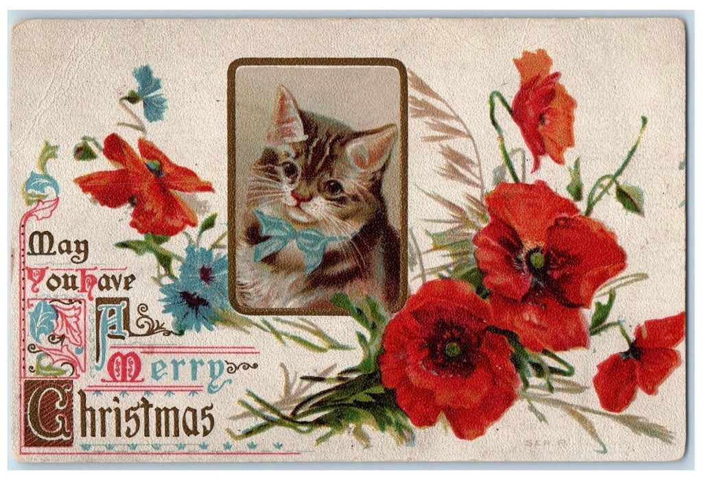 1909 Christmas Cat Kitten Red Flowers Embossed Posted Antique Postcard