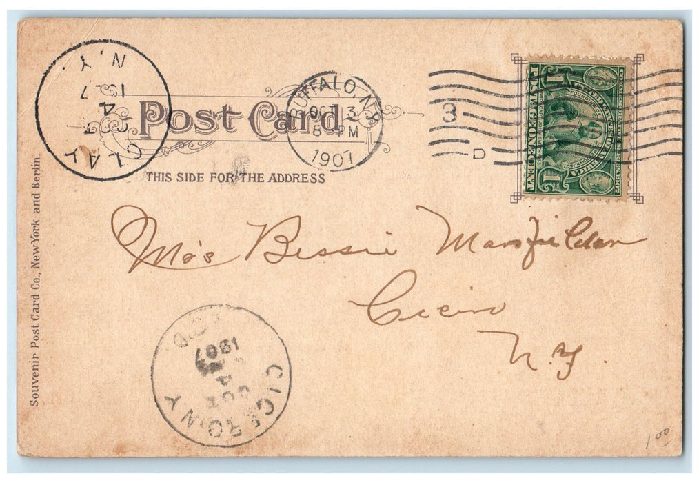 1907 Entrance To Harbor Passenger Ship Ferry Buffalo New York NY Posted Postcard