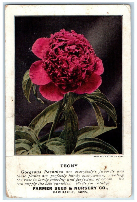 1918 Peony Flower Farmer Seed & Nursery Co. Faribault Minnesota MN Postcard