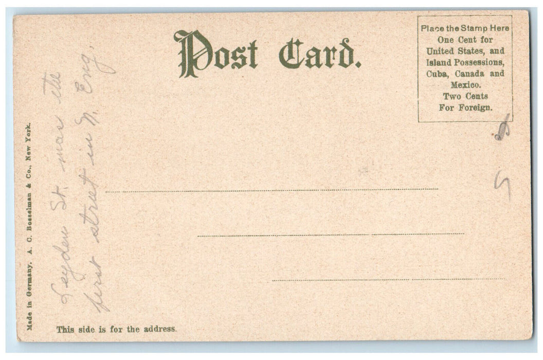 c1905 Leyden Street Plymouth Massachusetts MA Antique Unposted Postcard