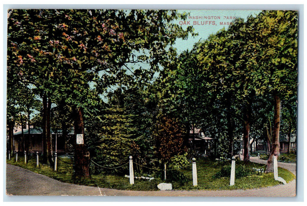 c1910 Washington Park Oak Bluffs Massachusetts MA Antique Unposted Postcard