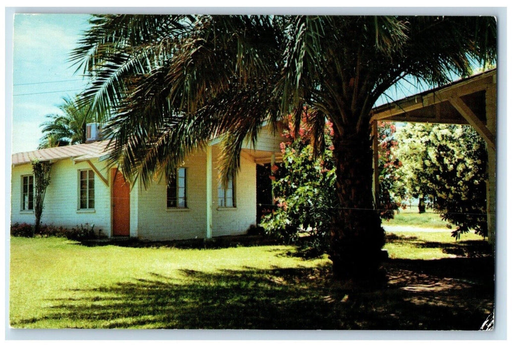 c1960's Majestic Date Palms Dateland Arizona AZ Unposted Vintage Postcard