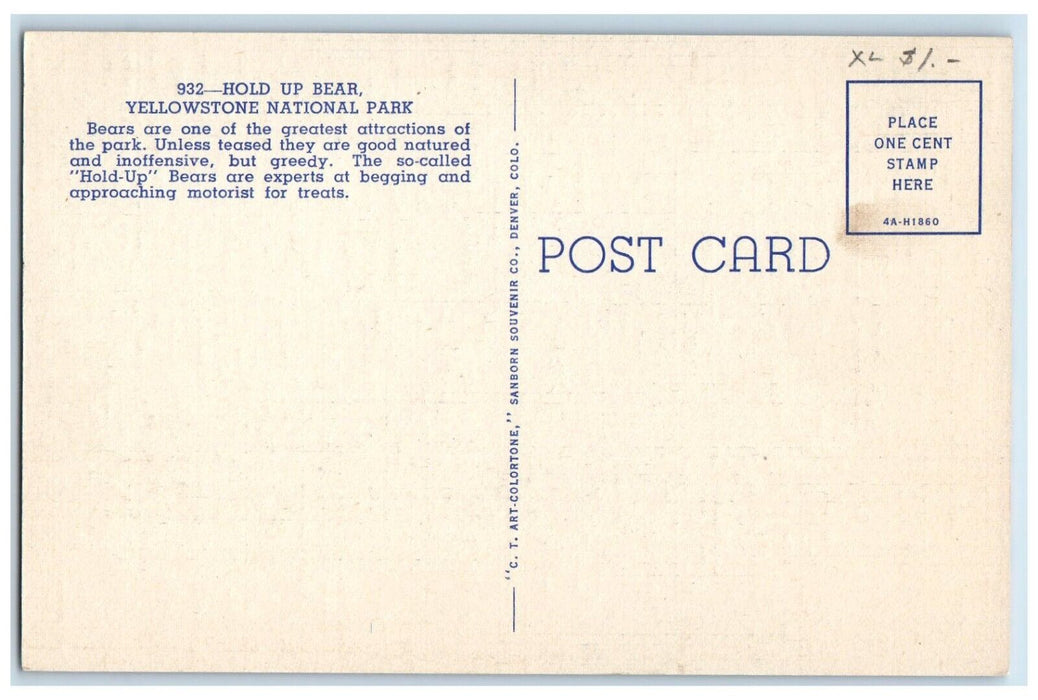 c1930's Hold Up Bear Yellowstone National Park Wyoming WY Vintage Postcard