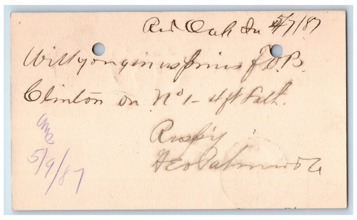1887 WJ Young & Co. Red Oak Iowa IA Clinton IA Antique Posted Postal Card
