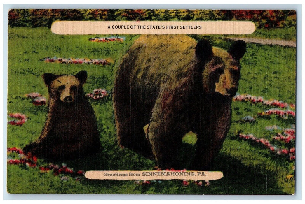 c1910's Greetings From Sinnemahoning Pennsylvania PA, Bear Flowers Postcard