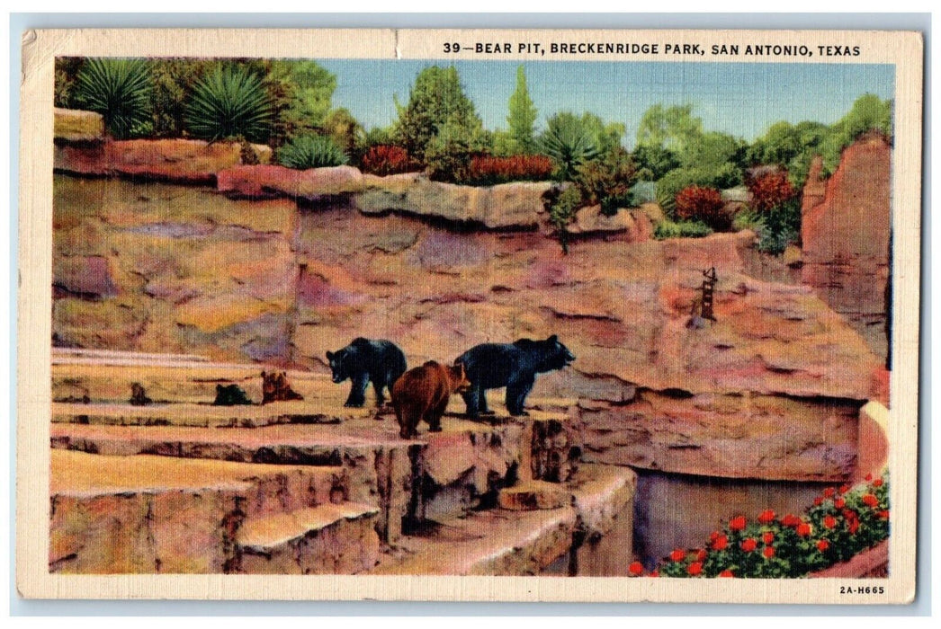 c1930's Bear Pit Breckenridge Park San Antonio Texas TX Posted Vintage Postcard