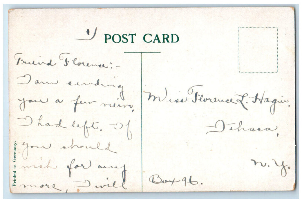 c1910's Boat House Boating Norumbega Park Massachusetts MA Antique Postcard