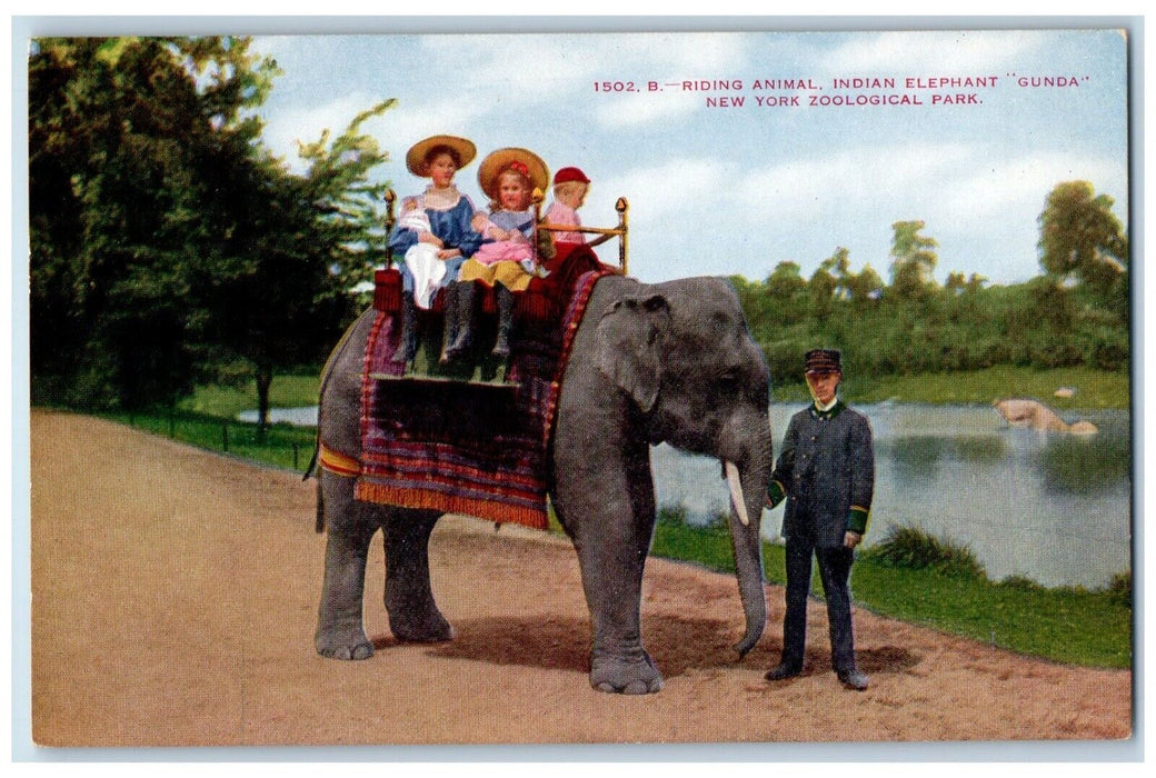 Riding Animal Indian Elephant Gunda New York Zoological Park Bronx NY Postcard