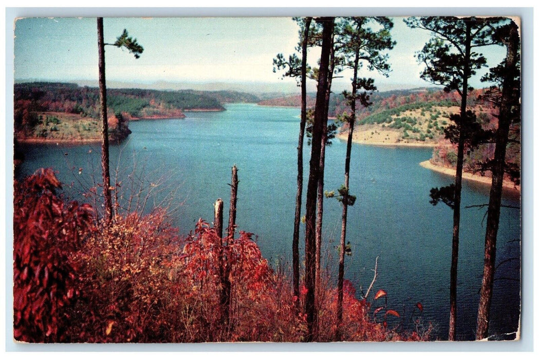 c1950's Scenic View Of Philpott Lake Bassett Virginia VA Vintage Postcard