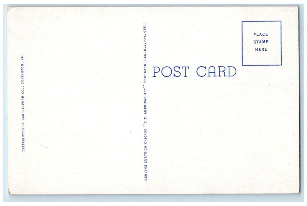 c1930's Scene On Jacson River From Indian Draft Near Covington VA Postcard