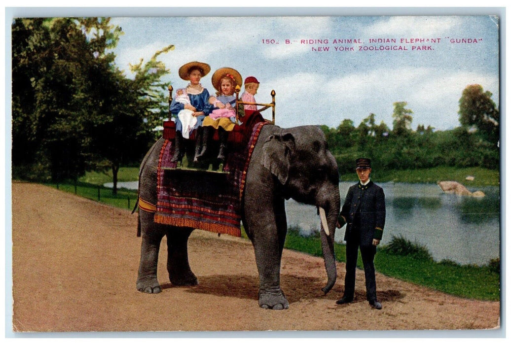 Bronx NY, Riding Animal Indian Elephant Gunda New York Zoological Park Postcard