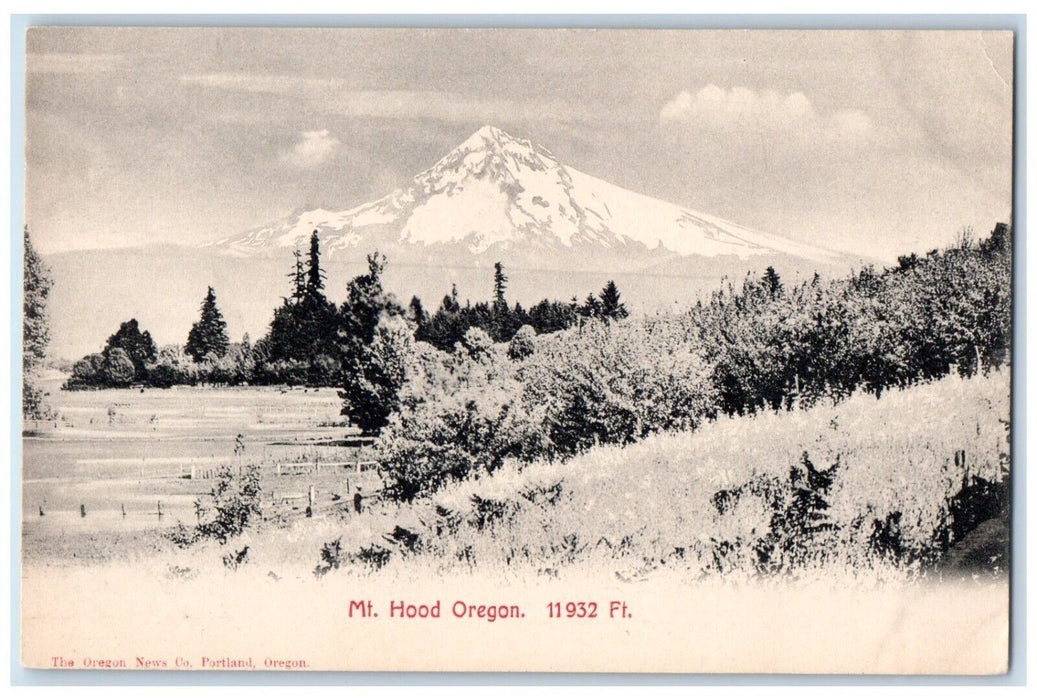 c1905 View Of Mountain Hood Oregon OR Unposted Antique Postcard