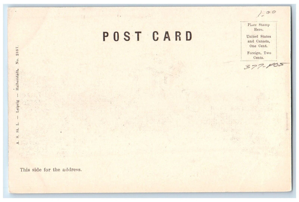 c1905 View Of Mountain Hood Oregon OR Unposted Antique Postcard