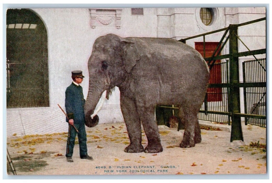 c1910's Indian Elephant Gunda New York Zoological Park Bronx NY Antique Postcard