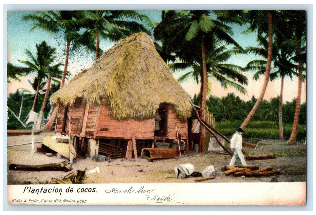 1906 Nipa Hut Trees Plantacion De Cocos Mexico Blake and Fiske Postcard