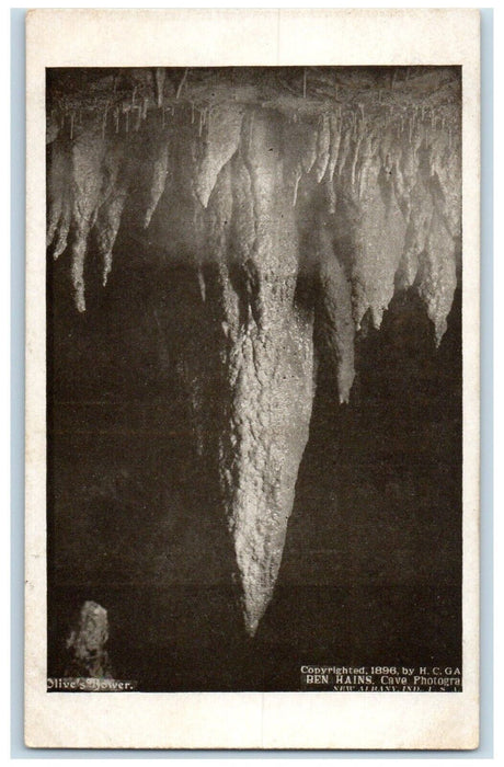 c1910 Olive's Bower Ben Hains Cave Photography New Albany Indiana IN Postcard