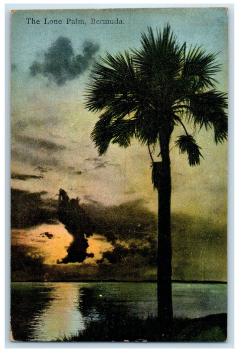 1930 Beach Scene The Lone Palm Tree Bermuda Posted Antique Postcard