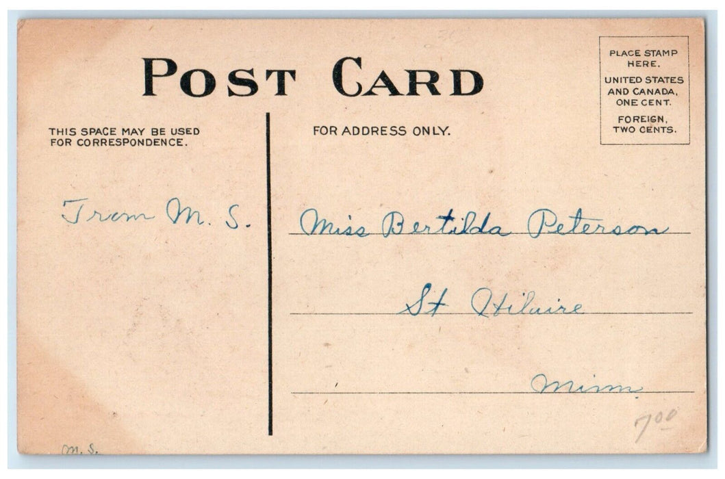 c1910's Pretty Woman Flowers Charity St. Hilaire Minnesota MN Antique Postcard