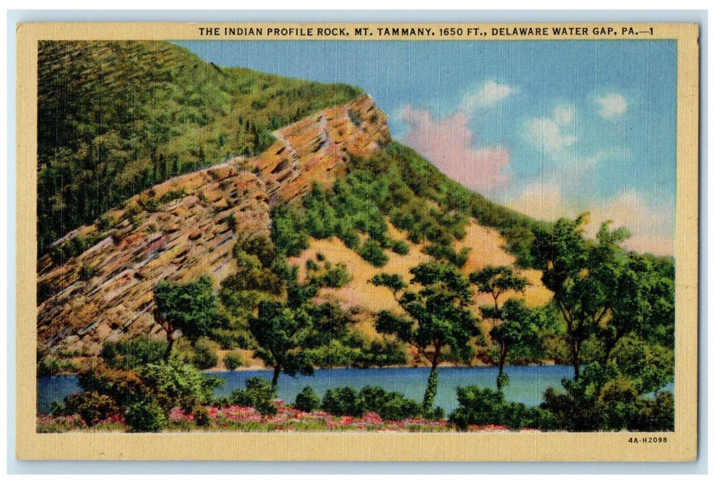 1946 Indian Profile Rock Mt. Tammany Delaware Water Gap Pennsylvania PA Postcard
