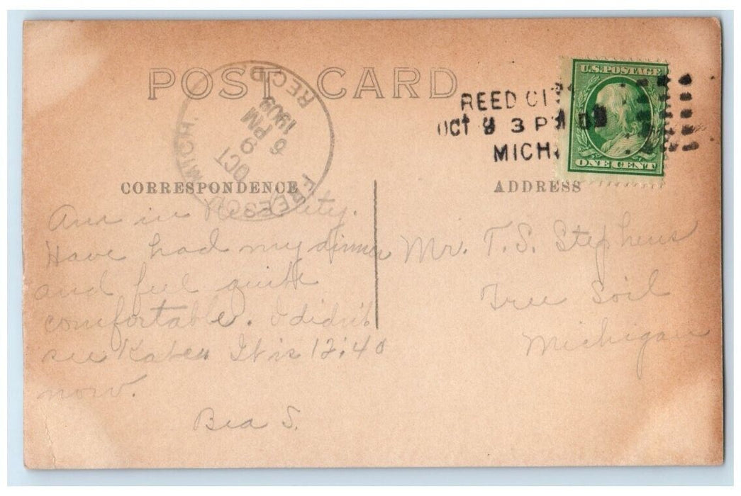 1909 State Fish Hatchery View Reed City Michigan MI RPPC Photo Posted Postcard