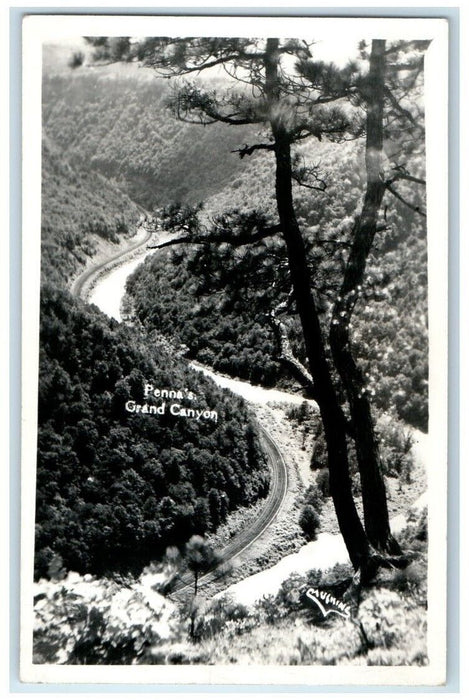 1947 Tioga State Park Penna's Grand Canyon View PA RPPC Photo Unposted Postcard