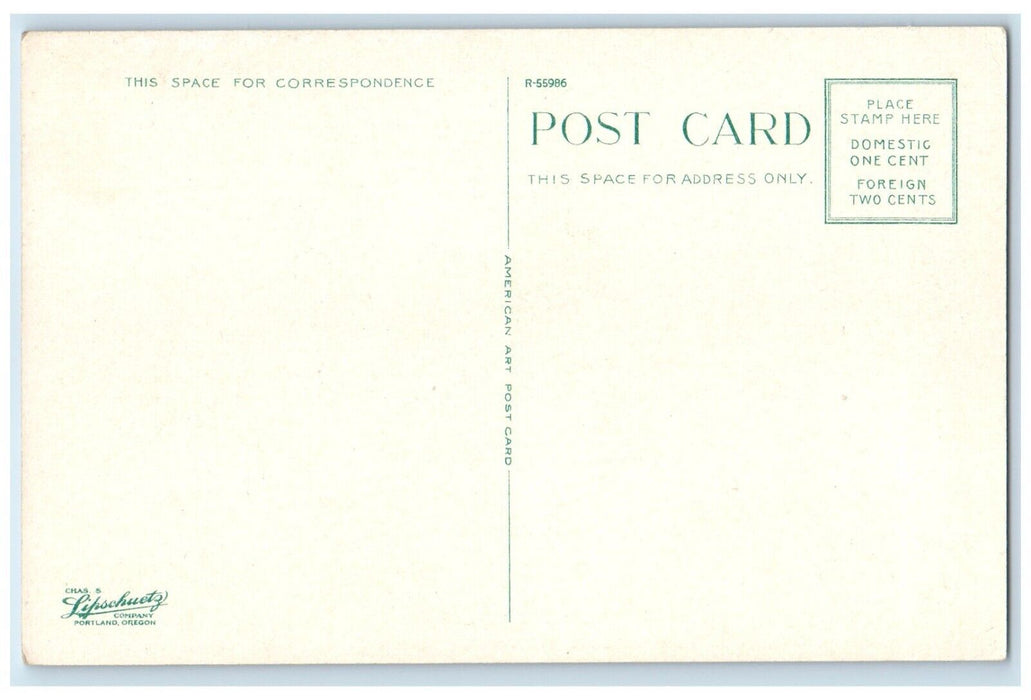 c1920 Steel Bridge Willamette River Steamer Ferry Boat Portland Oregon Postcard