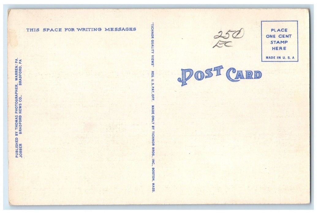 1940 Deer Alleghany National Park Animals Bradford Pennsylvania Antique Postcard