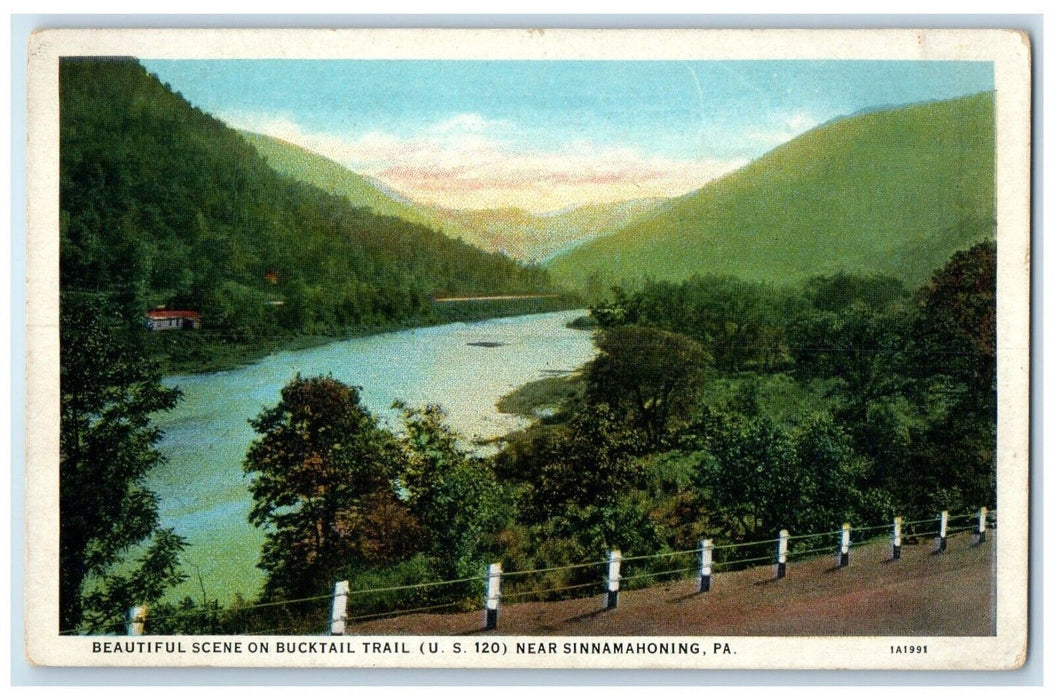 c1920 Scene Bucktail Trail Mountains Sinnamahoning Pennsylvania Antique Postcard