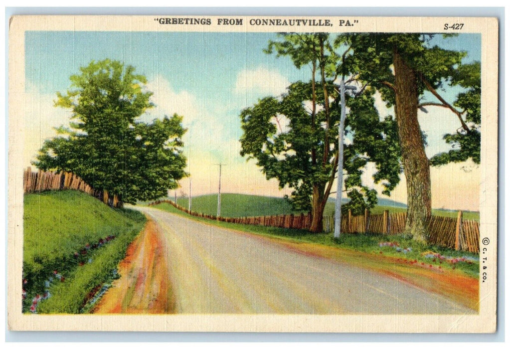 c1940 Greetings From Conneautville Pennsylvania PA Road Trees Unposted Postcard