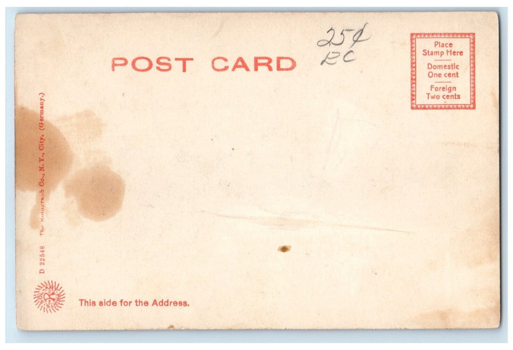 1905 Drive Roger Williams Park Providence Rhode Island Unposted Antique Postcard