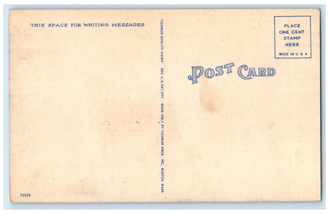 c1940 My Best Friend & I Going In For A Swim Longmeadow Rhode Island RI Postcard