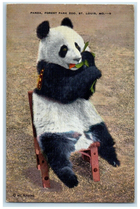 1942 Panda Forest Park Zoo Animal Bamboo Forests St. Louis Missouri MO Postcard