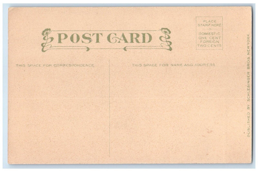 c1910's Happy New Year Pretty Woman Holly Berries Unposted Antique Postcard